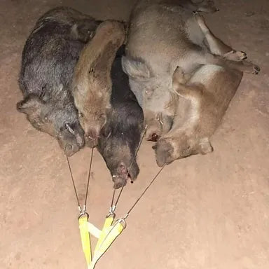 THE POCKET DRAG The Pocket Drag