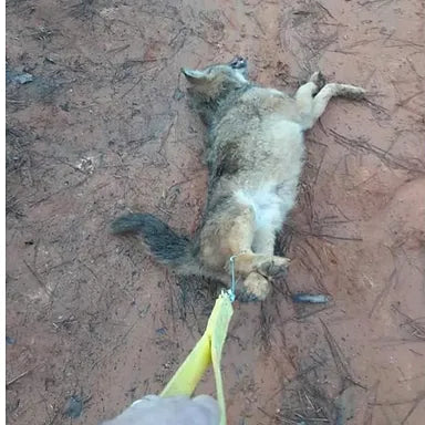 THE POCKET DRAG The Pocket Drag