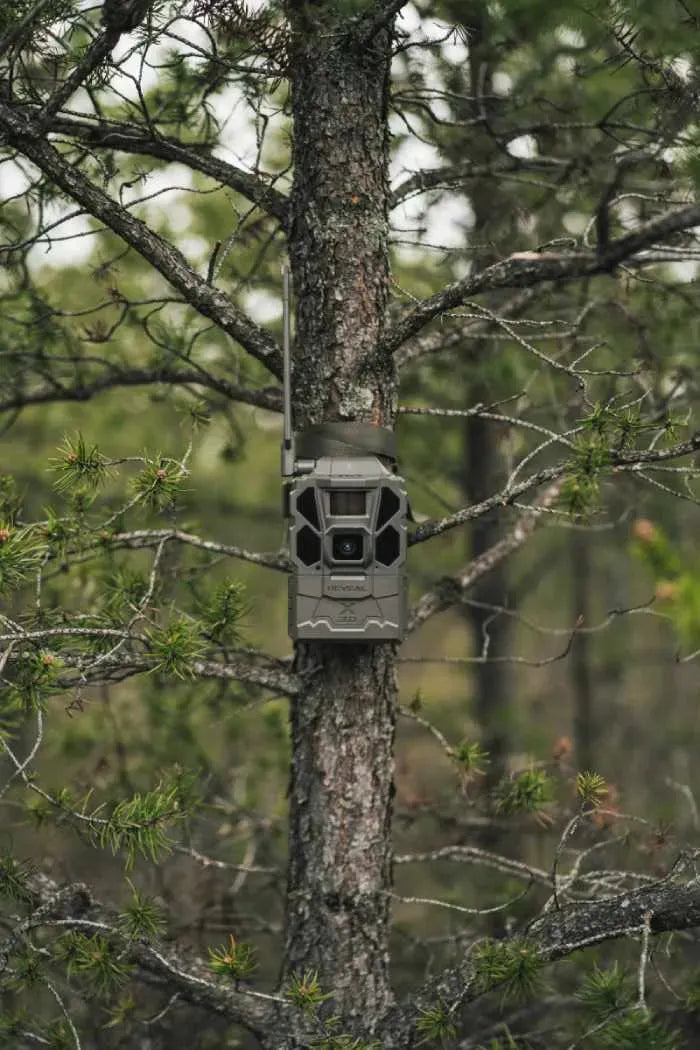 TACTACAM Camera Tactacam Reveal X 3.0 Cellular Camera