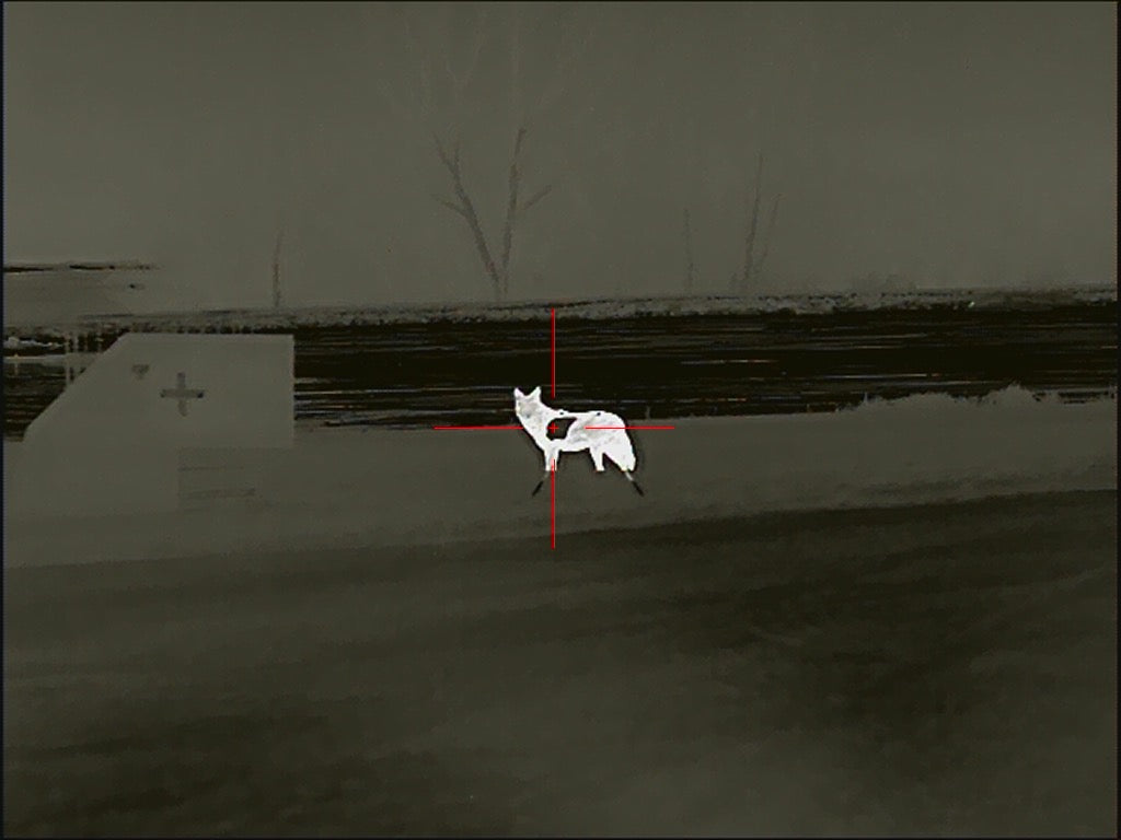 Atlas Targets Full Size SR500 Steel Side Profile Reactive Coyote Target W/ Legs