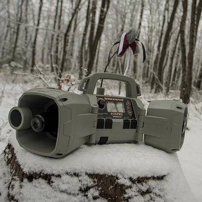 FoxPro FoxPro SHOCKWAVE