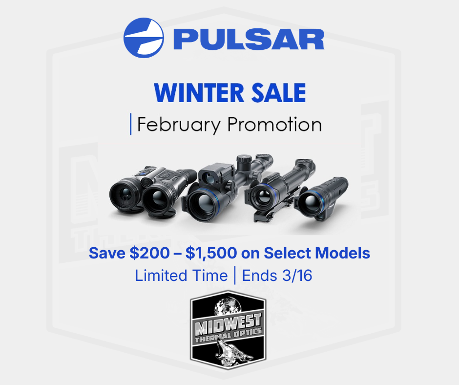 Pulsar February Promotion