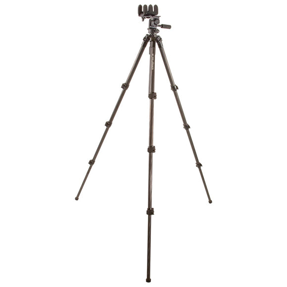 Tripods and Ball Heads