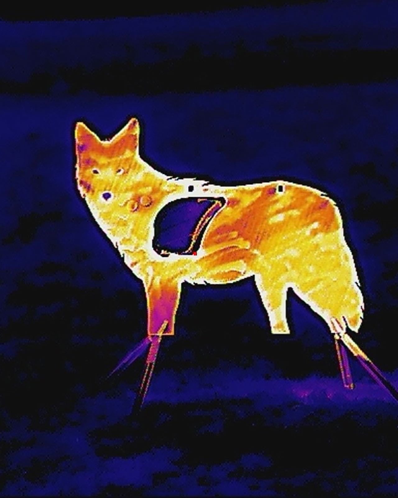 Shooting Targets