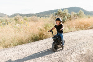 DRIFT HERO Bike Drift Hero 24V/9Ah 250W Mini Bike