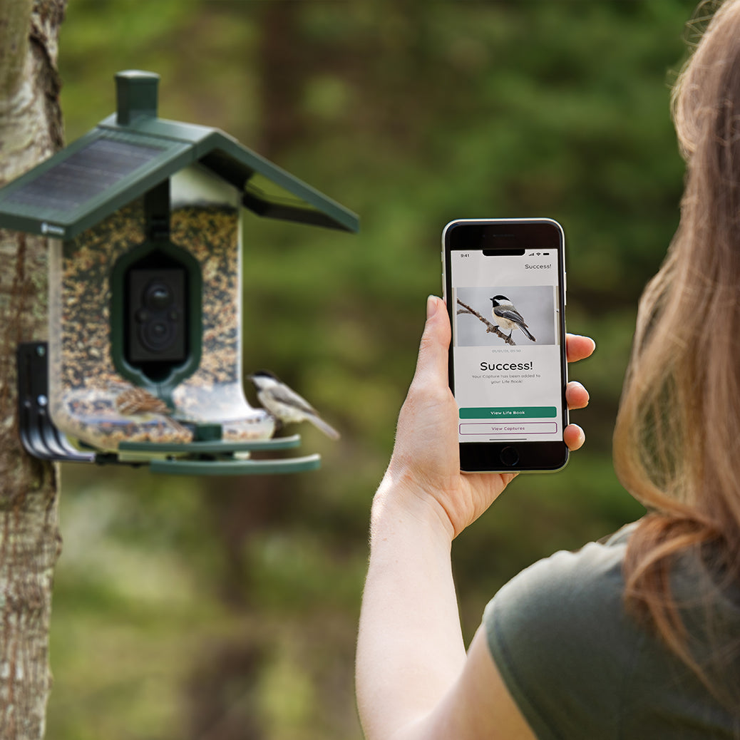 FEATHERSNAP Feather Snap Smart, Solar-Powered Bird Feeder W/ AI Species Recognition