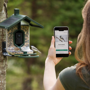 FEATHERSNAP Feather Snap Smart, Solar-Powered Bird Feeder W/ AI Species Recognition