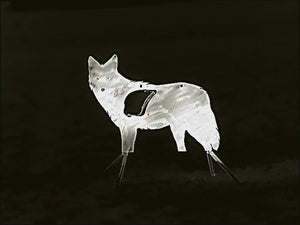 Atlas Targets Life Size SR500 Coyote Steel Target with Reactive Vital & Legs - Side Profile