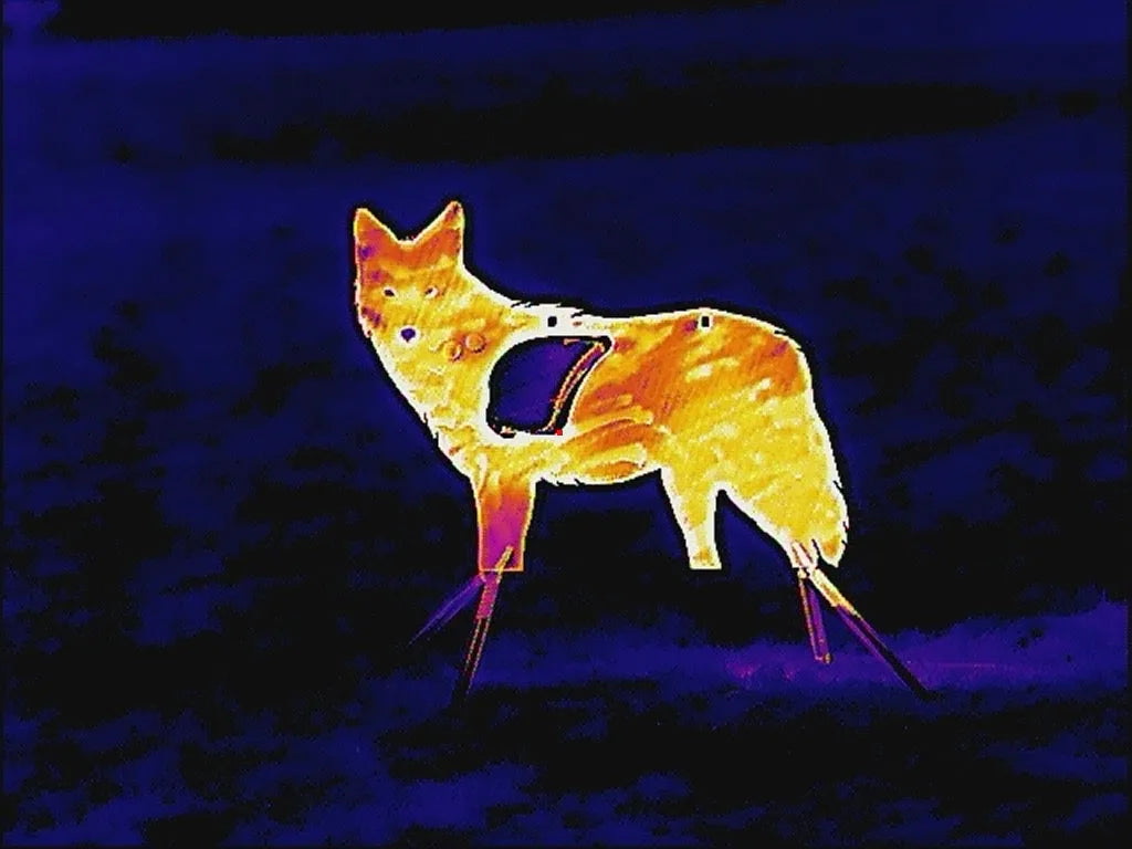 Atlas Targets Life Size SR500 Coyote Steel Target with Reactive Vital & Legs - Side Profile