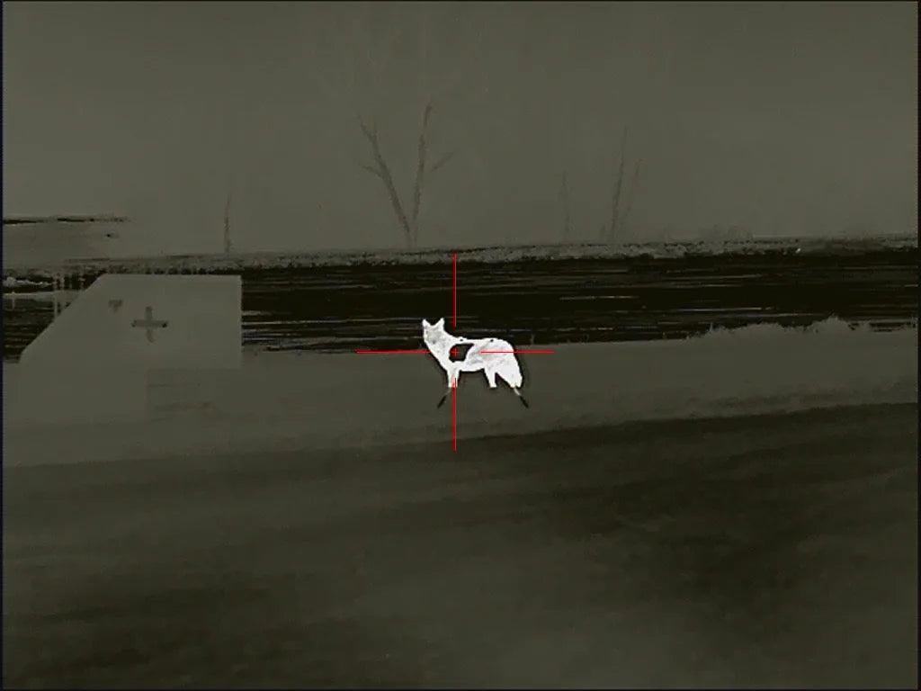Atlas Targets Life Size SR500 Coyote Steel Target with Reactive Vital & Legs - Side Profile