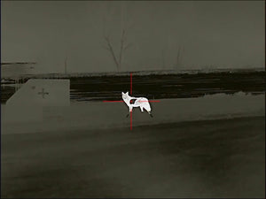 Atlas Targets Life Size SR500 Coyote Steel Target with Reactive Vital & Legs - Side Profile