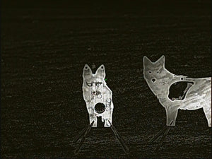 Atlas Targets Front Facing Coyote Reactive Target - Full Size