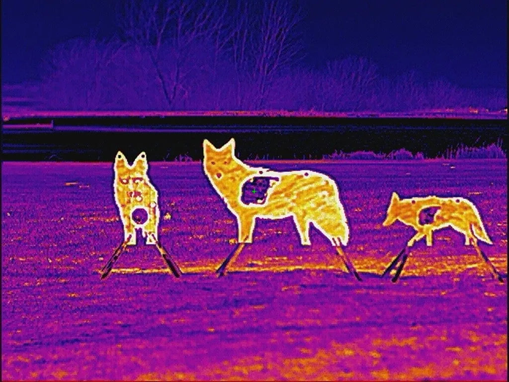 Atlas Targets Front Facing Coyote Reactive Target - Full Size