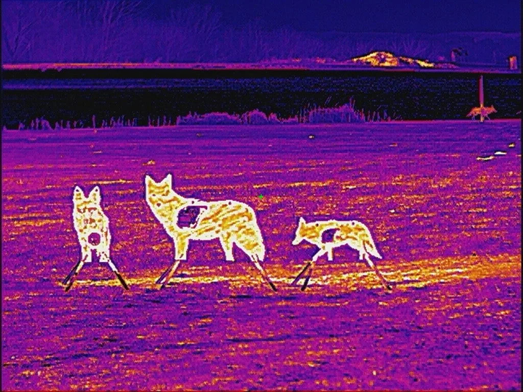 Atlas Targets AR500 Coyote Target W/ REACTIVE Vital - Small