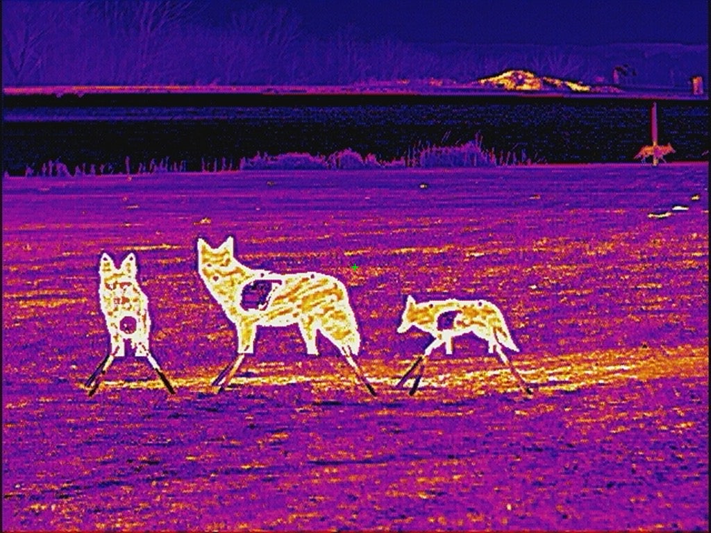 Atlas Targets AR500 Coyote Target W/ REACTIVE Vital - Small