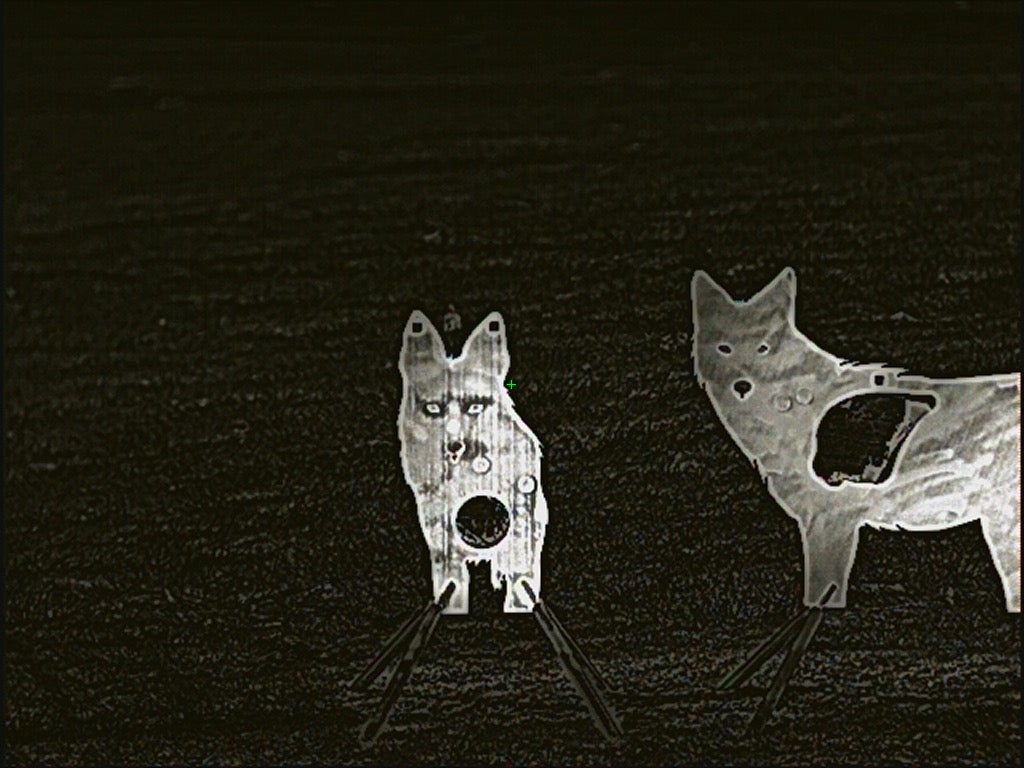 Atlas Targets Front Facing Coyote Reactive Target - Full Size