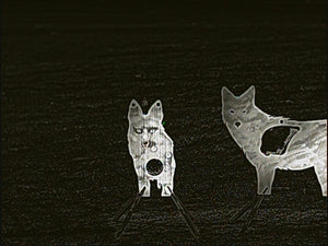 Atlas Targets Front Facing Coyote Reactive Target - Full Size