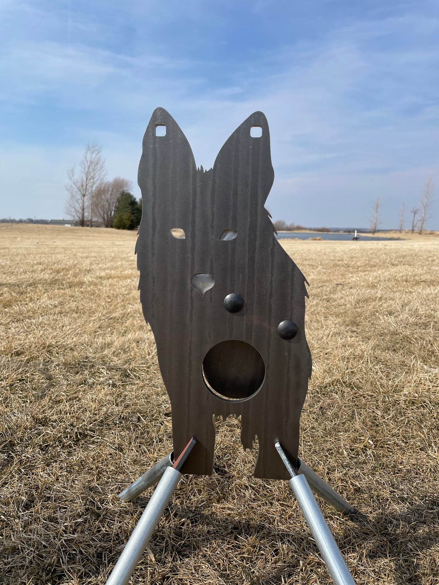Full Size AR500 Front Facing Coyote Target W/ Reactive Vital